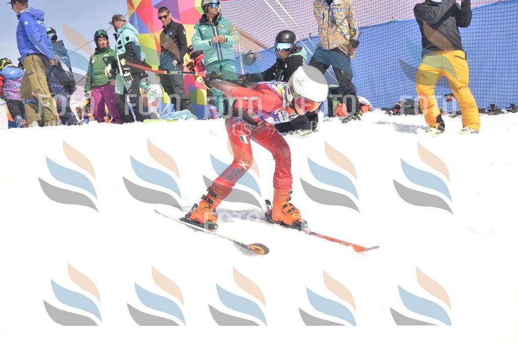 _ELE9413 | holidayphoto