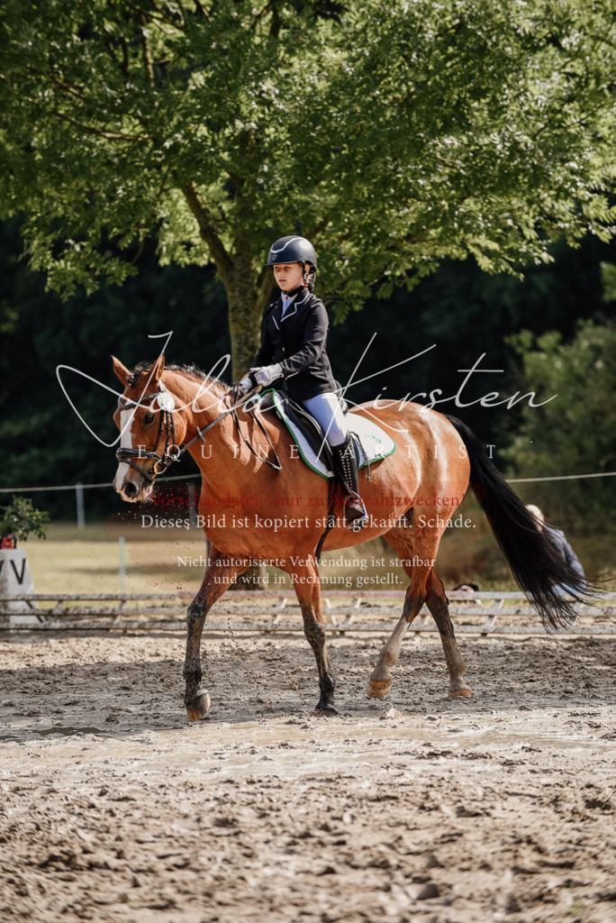 DSC_9188 | Pferde- und Turnierfotografie in Westsachsen. Pferdeportraits, Auftragszeichnungen und intuitive Kunst.