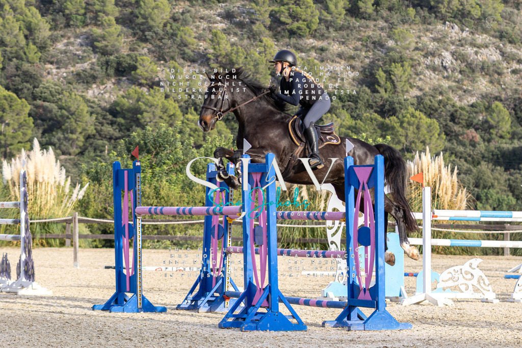 IMG_5124 | s-jay-photography - Realisiert mit Pictrs.com