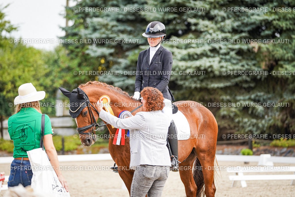 DSC02317 | Pferdegrafie