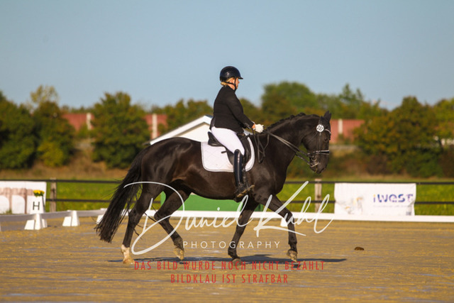 DKP44875 | Turniersportfotografie; Pferdefotografie; Dressurfotografie