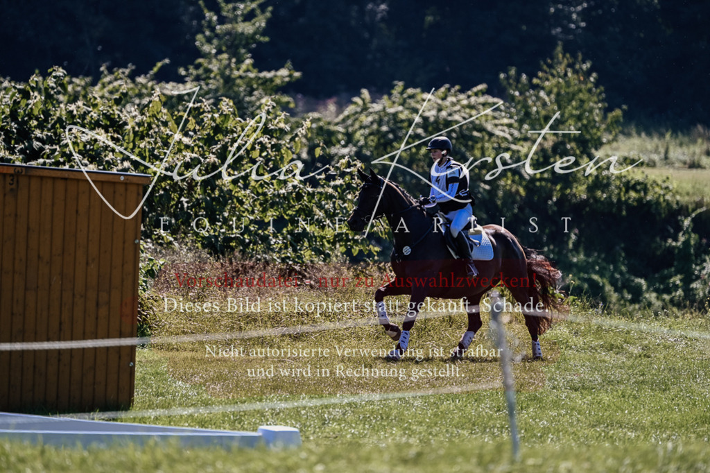 DSC_1434 | Pferde- und Turnierfotografie in Westsachsen. Pferdeportraits, Auftragszeichnungen und intuitive Kunst.