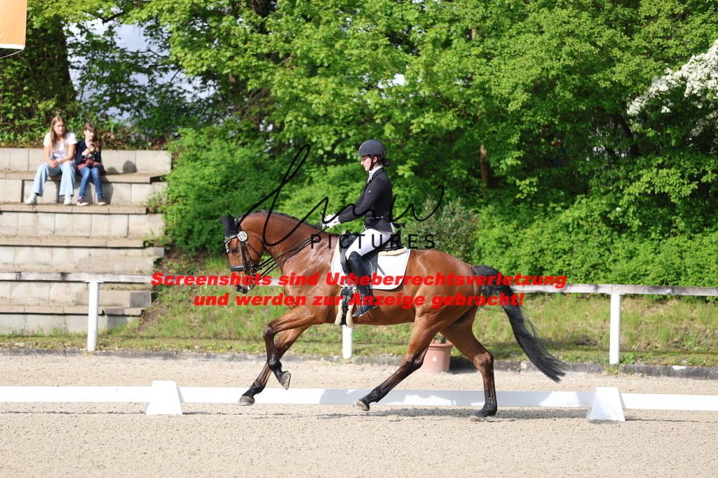 A40A3507 | lmwpictures - Realisiert mit Pictrs.com