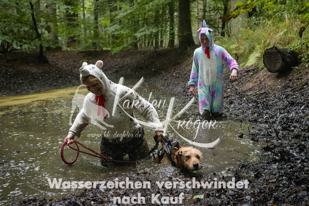 0917_ZZ90232-Bearbeitet | kk-dogfotos
