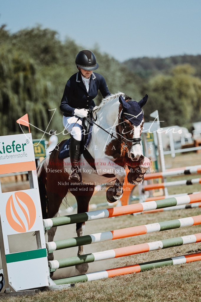 DSC_9983 | Pferde- und Turnierfotografie in Westsachsen. Pferdeportraits, Auftragszeichnungen und intuitive Kunst.