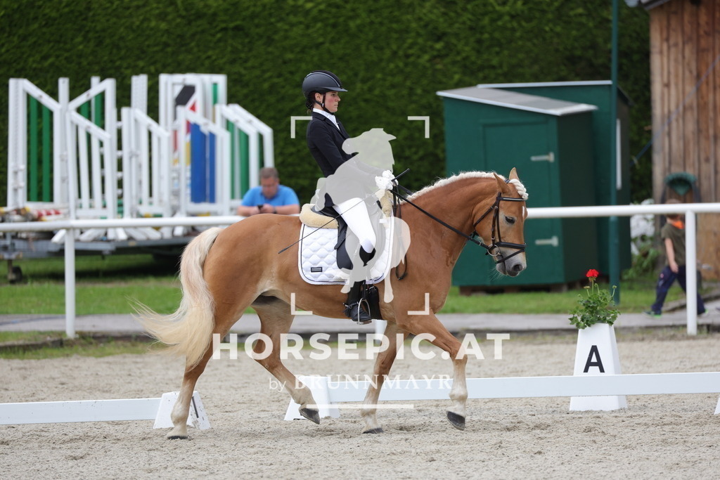 0P6A5225 | Willkommen bei Brunnmayr - Design & Fotografie – Ihrem Spezialisten für Reitturniere und Pferdeveranstaltungen in Oberösterreich, Salzburg und Bayern! Seit über 17 Jahren sind wir leidenschaftlich dabei.