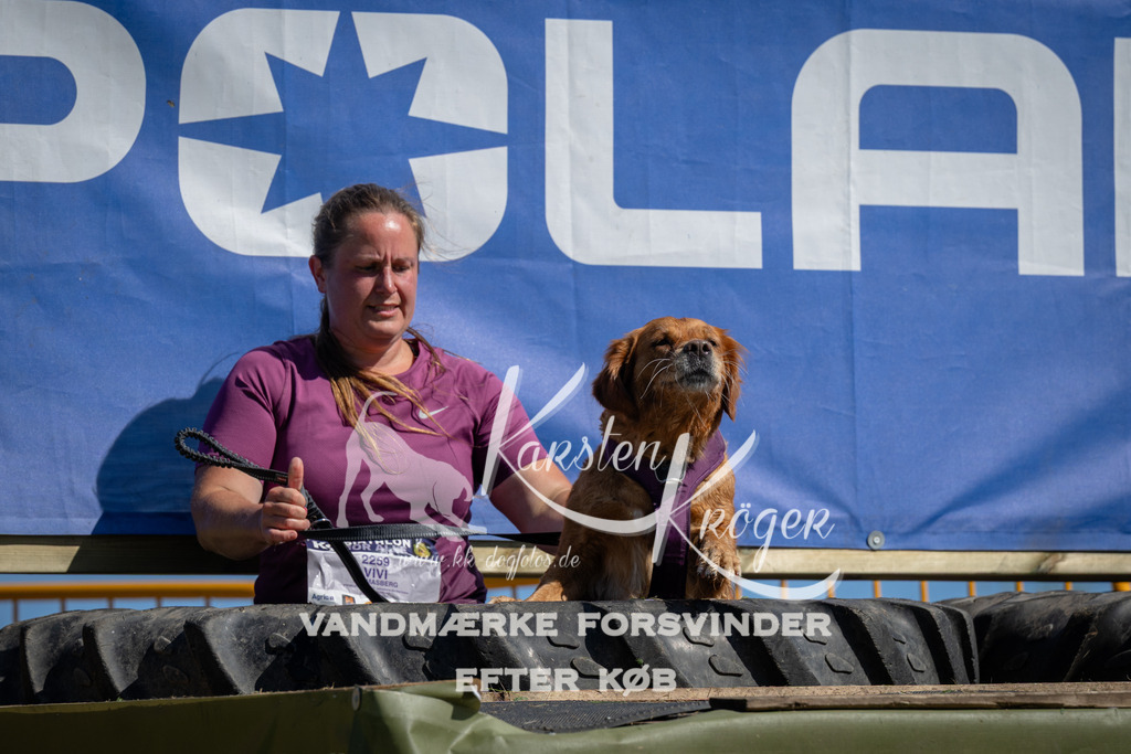 1123_ZZ91513 | kk-dogfotos