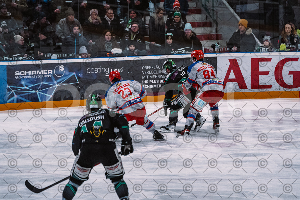 Alligators_vs_Peiting_04_01_2026-095 | Höchstadt Alligators Fotogalerie: Eishockey-Action aus Franken. Professionelle Spielfotos, Portraits & Stadionbilder zum Download. Jetzt entdecken! - Realisiert mit Pictrs.com