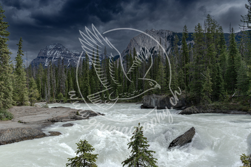 where the river roars - canada | Authentische Landschafts- & Wildtierfotografie aus der Schweiz. Hochwertige Wandbilder, Fine-Art-Prints und Wunschmotive nach Auftrag – sorgfältig entwickelt im Grumagraphy-Style