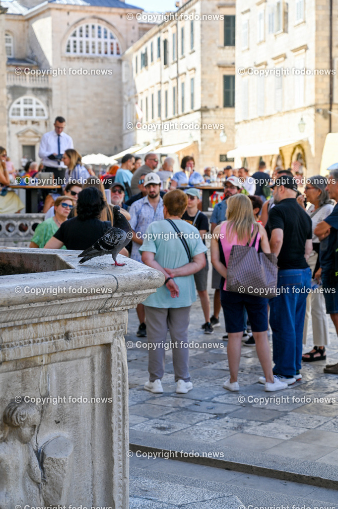 Kroatien_ Dubrovnik_ 11.10.2023-30 | 11.10.2023, Kroatien, HRV, Dubrovnik im Bild Gastronomie, Tourismus, Touristen, Sehenswuerdigkeiten, Stadtansichten



eine Stadt im suedlichen Kroatien an der Adriakueste in der Gespannschaft Dubrovnik-Nereveta. Die Altstadt wurde im Jahr 1979 von der UNESCO in die Liste des Weltkulturerbes aufgenommen.