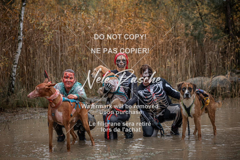 nelerasche_Creepy2025_So1000-1100_116 | nelerasche