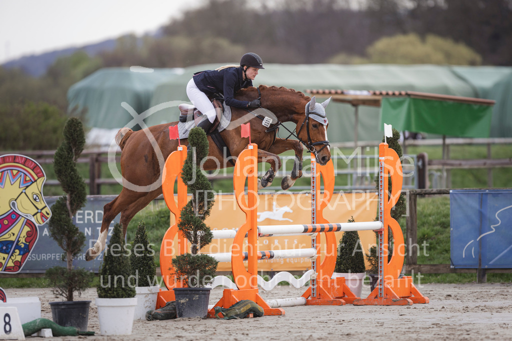 240330_Fruehlingsfest_Amateur-SprPf-A-237 | Deine schönsten Turniermomente als professionelle Fotos! Entdecke hochwertige Pferdesport-Fotografie im Online-Shop. Jetzt Fotos finden & bestellen!