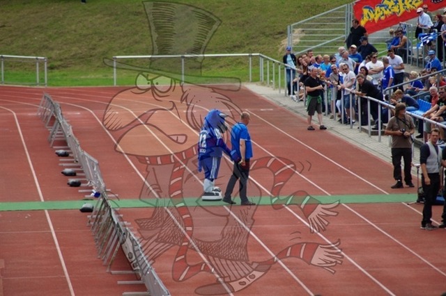 TSG Neustrelitz vs. BFC Dynamo 006 | mythos-online-redaktion