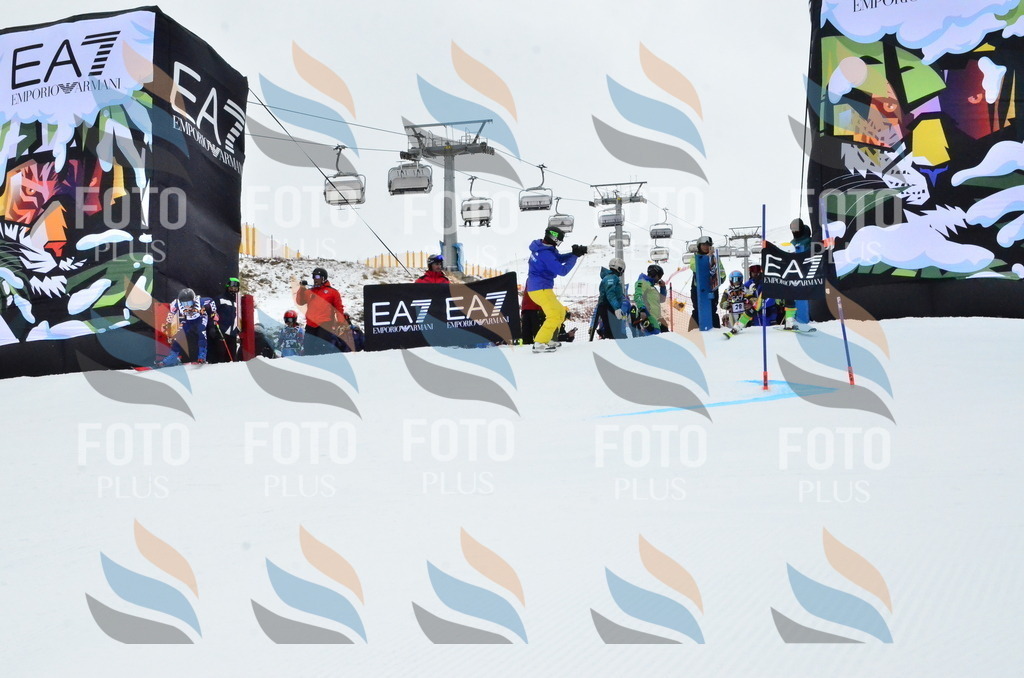 _ELE3252 | holidayphoto