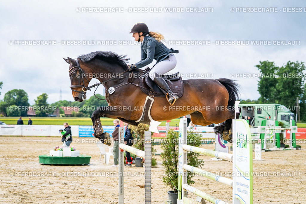 DSC04073 | Pferdegrafie