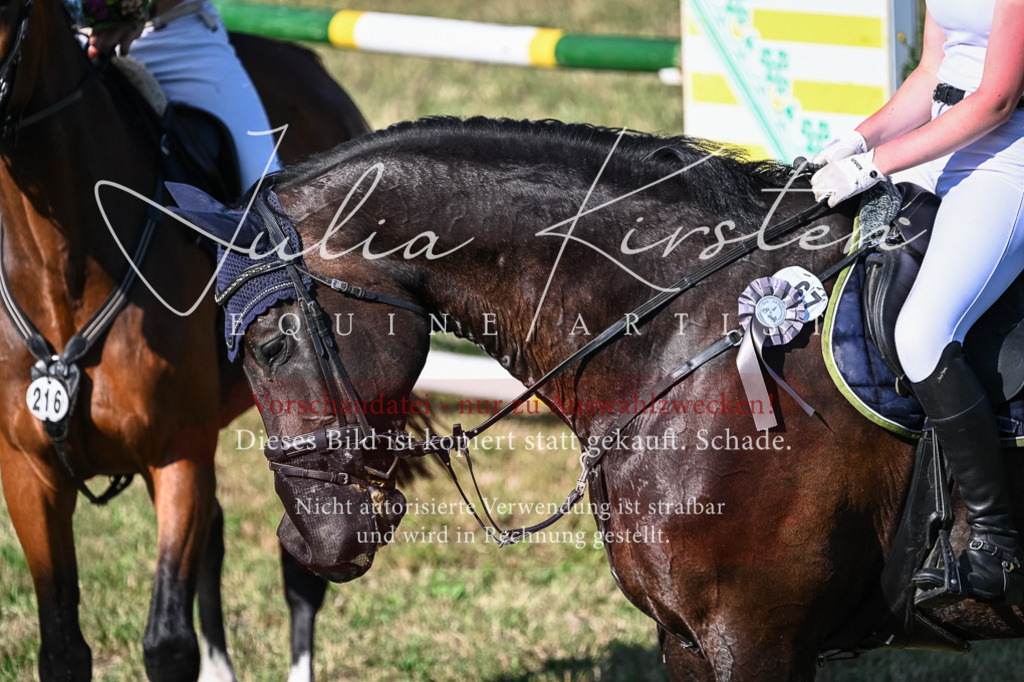 DSC_2618 | Pferde- und Turnierfotografie in Westsachsen. Pferdeportraits, Auftragszeichnungen und intuitive Kunst.