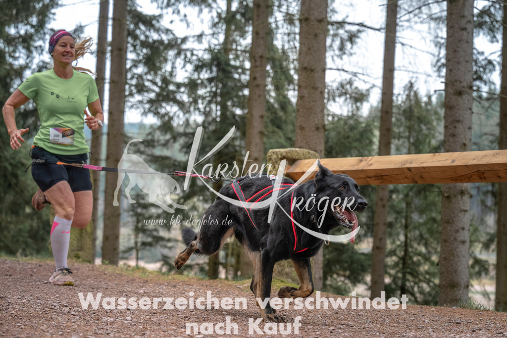 0802DZ6_2770 | kk-dogfotos