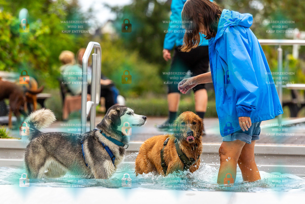 _HP_6246_fullo | HetPix, HetPix Fotodesign, Fotografie, Fotodesign, Webshop, Sportfotografie, Portraitfotografie, Onlineshop, Sportfotografie, Polch, Motorsportfotografie, Eventfotografie