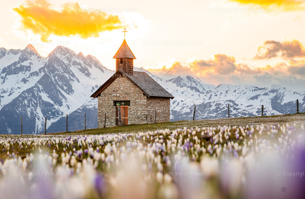 Glocknerblick-652 | piet_flosse