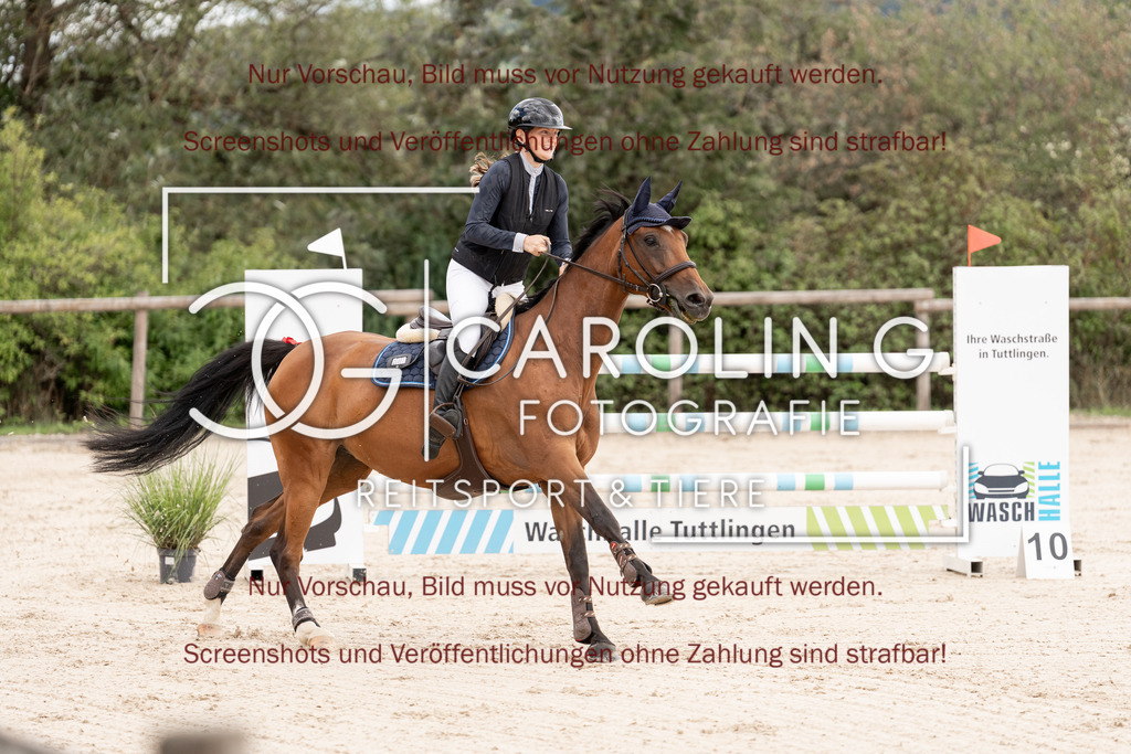 DSC06648 | Springturnier_Teamchallege_Talheim_2026, Vivien_Winter, PBM_Caramba