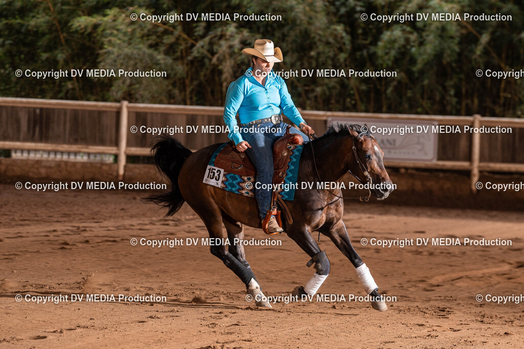 Erbach Tag 2-1280 | dv-media-shop - Realisiert mit Pictrs.com