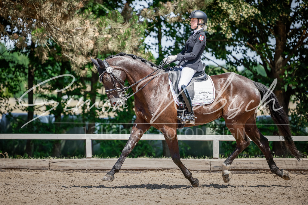 20250621-_3LI8158 | Tierfotografie Pferde, Hunde, Katzen, Haustiere.
Turnierfotografie Reitturniere, Reiten, Springreiten, Dressur in Hanau, dem Main-Kinzig-Kreis und dem Rhein-Main- Gebiet um Frankfurt