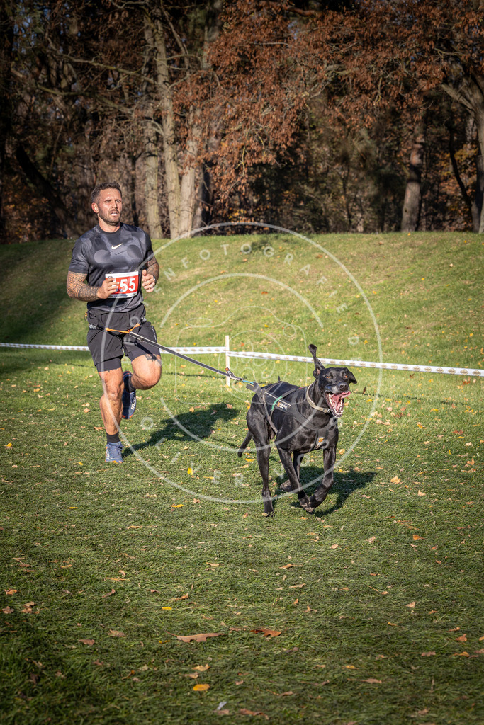 CaniXpix_0L8A9179 | Hundefotografie, Tierfotograf, Pfotenfotografie, Fotoshooting Hund, Hunde Portrait, Hundesport, Hundeportraits, Heideshooting, Hunde, Sportfotograf, Hundefotograf, Turnierhundsport, THS,  - Realisiert mit Pictrs.com