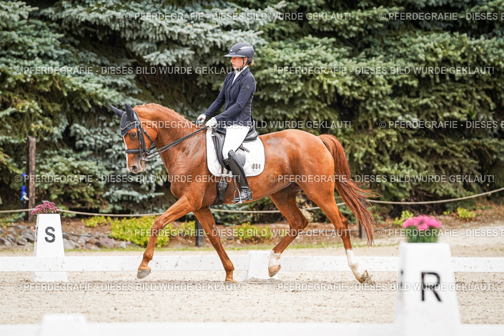 DSC04772 | Pferdegrafie