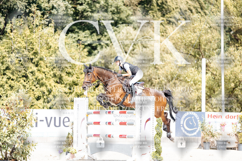 CK904927 | Turnierfotografie Pferdefotografie Trier Rheinland-Pfalz Pferdesport Reitsport Tierfotografie Sportfotografie Pferdevideo Pferdevideografie Equestrianvideography equestrianphotography  - Realisiert mit Pictrs.com
