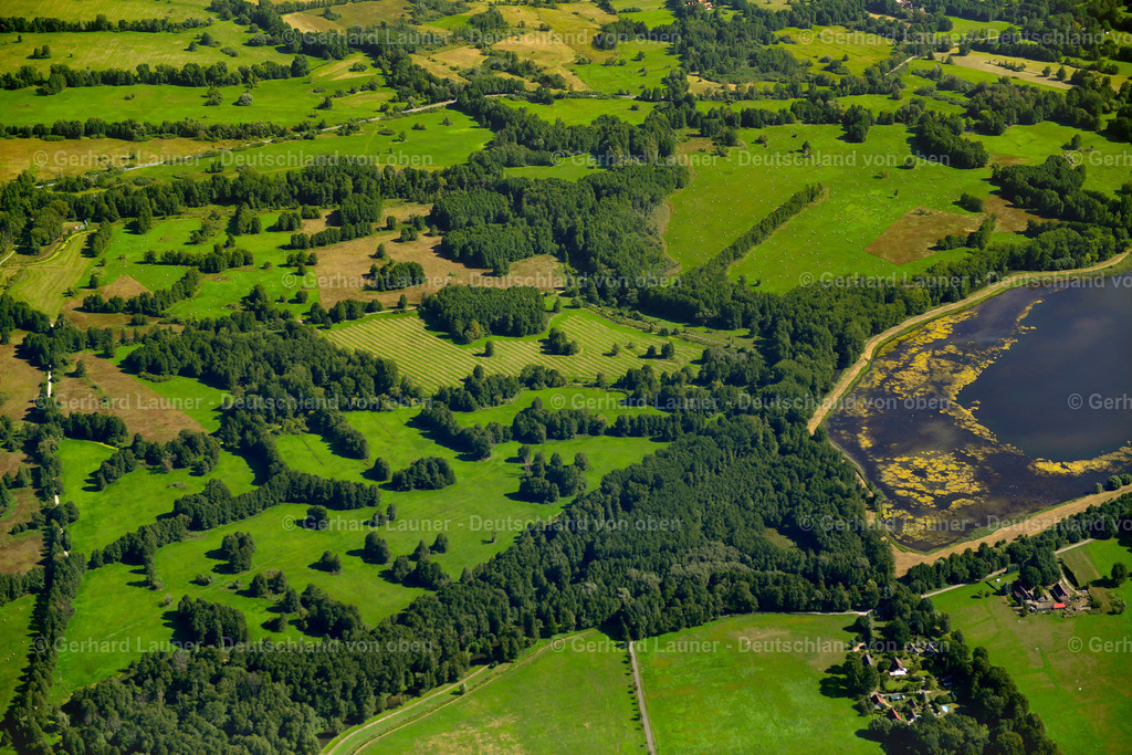 3637259 | RADDUSCH 25.08.2016 Grasflächen- Strukturen einer Wiesen- und Feld Landschaft in der Auen- Niederung  in Raddusch im Spreewald im Bundesland Brandenburg, Deutschland // Grassland structures of a meadow and field landscape in the lowland  in Raddusch at Spreewald in the state Brandenburg, Germany Foto: Gerhard Launer