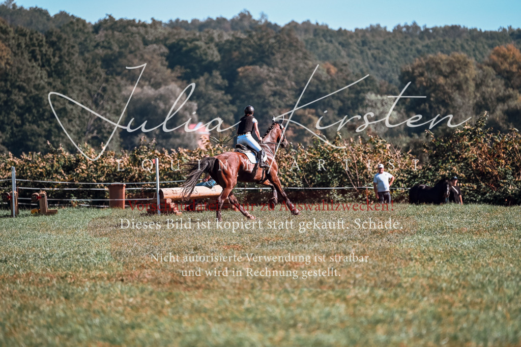DSC_0997 | Pferde- und Turnierfotografie in Westsachsen. Pferdeportraits, Auftragszeichnungen und intuitive Kunst.
