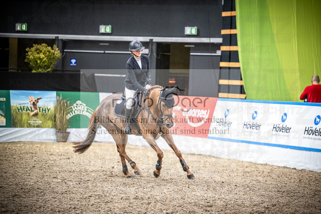 DOS_2921 | Entdecke hochwertige Reitturnierfotos von Foto Oger. Professionell, emotional und authentisch – jetzt Lieblingsmomente im Shop bestellen.Deutschlandweite Turnierfotografie. - Realisiert mit Pictrs.com