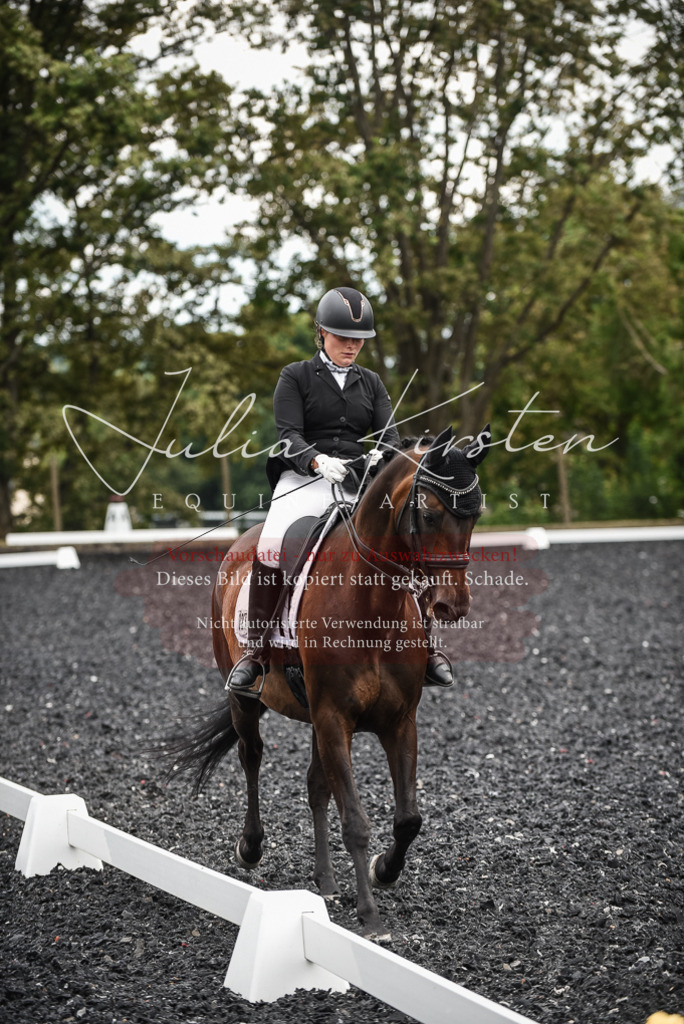 DSC_4875 | Pferde- und Turnierfotografie in Westsachsen. Pferdeportraits, Auftragszeichnungen und intuitive Kunst.