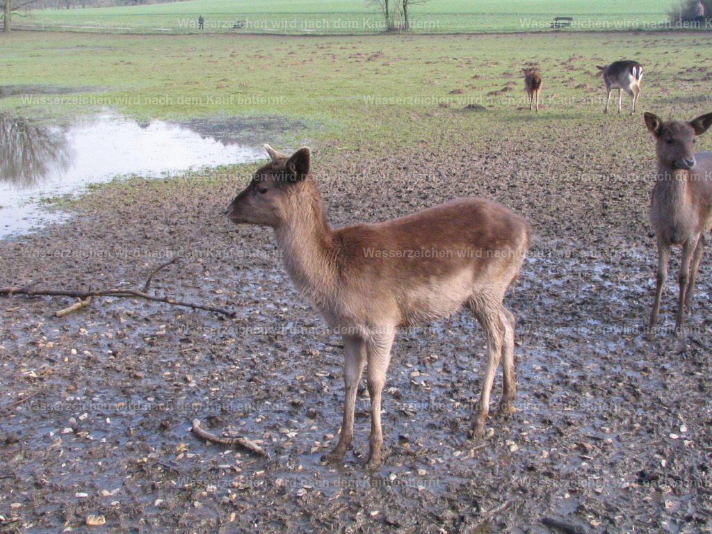 IMG_0010 | Entdecken Sie die faszinierende Welt von Norbert Michels: Surreale Kunstwerke, hochwertige Fotos, Leinwandbilder & Fotoprodukte wie Tassen mit bild7 - Realisiert mit Pictrs.com