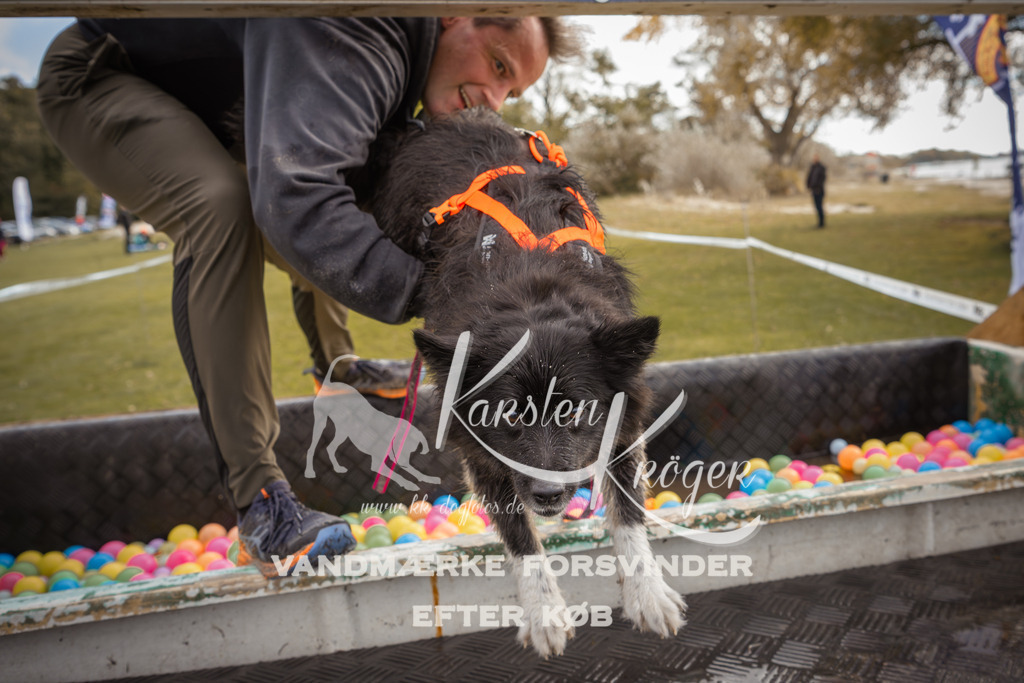 1330_ZZ91079-2 | kk-dogfotos