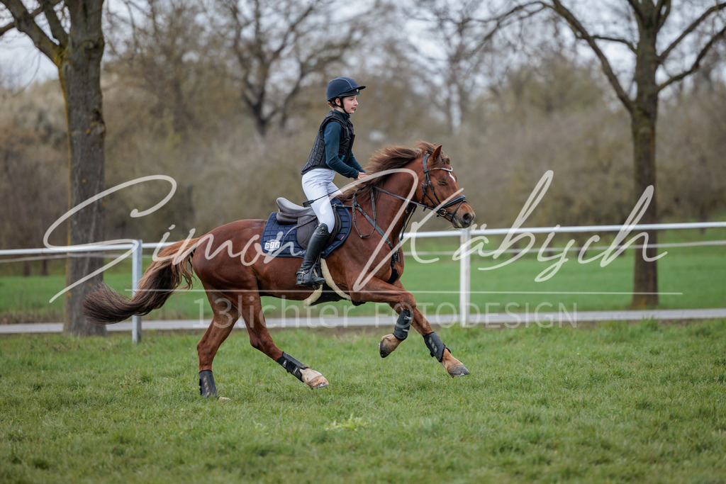 20260329-_3LI5406 | Tierfotografie Pferde, Hunde, Katzen, Haustiere.
Turnierfotografie Reitturniere, Reiten, Springreiten, Dressur in Hanau, dem Main-Kinzig-Kreis und dem Rhein-Main- Gebiet um Frankfurt