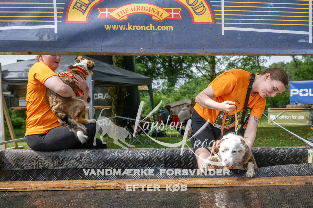 1032_ZZ91237 | kk-dogfotos