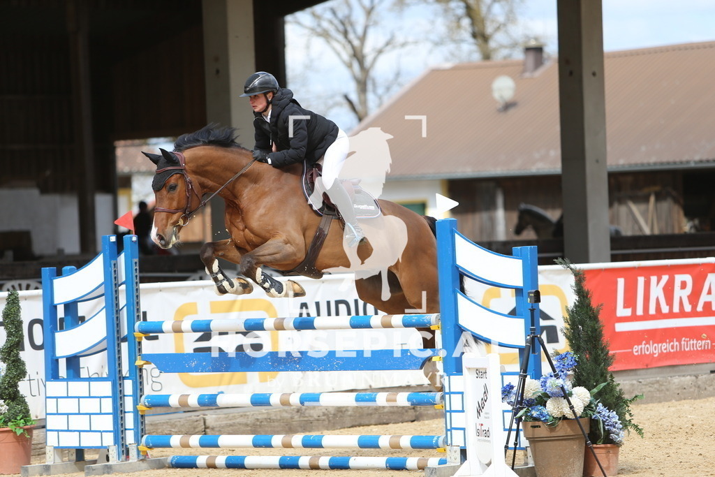 DL2Q9764 | Willkommen bei Brunnmayr - Design & Fotografie – Ihrem Spezialisten für Reitturniere und Pferdeveranstaltungen in Oberösterreich, Salzburg und Bayern! Seit über 17 Jahren sind wir leidenschaftlich dabei.