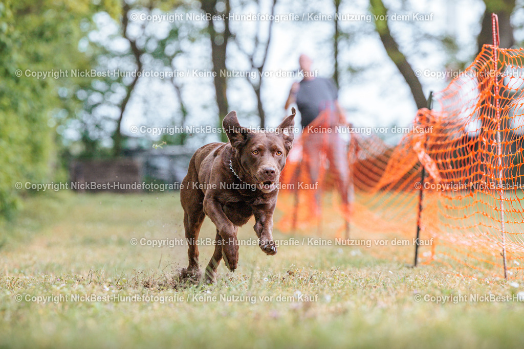 Sage Hunderennen Frühlingsfest-2026-Nickbest-Hundefotografie-0561 | Dein Hund! Dein Moment! Deine Erinnerungen! Hundefotografie in Bremen Blumenthal. Ich fange die besonderen Momente deines Vierbeiners ein – ob Indoor mit Blitzanlage oder in der freien Natur. Sicher dir dein Moment und dein Termin für eure Erinnerungen.