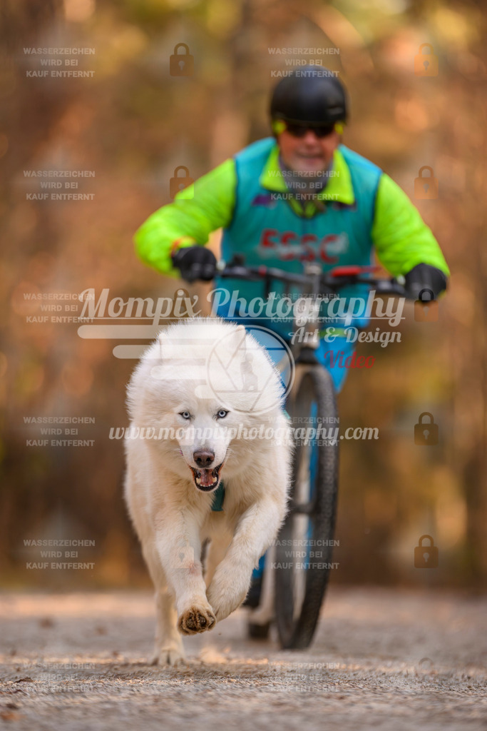 MompixPhotography_DM_AKDM_SO_2025_Scooter-240 | PayLife