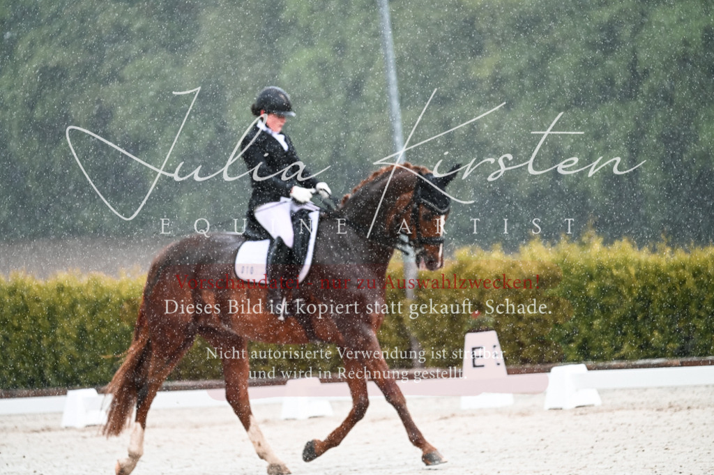 DSC_4101 | Pferde- und Turnierfotografie in Westsachsen. Pferdeportraits, Auftragszeichnungen und intuitive Kunst.