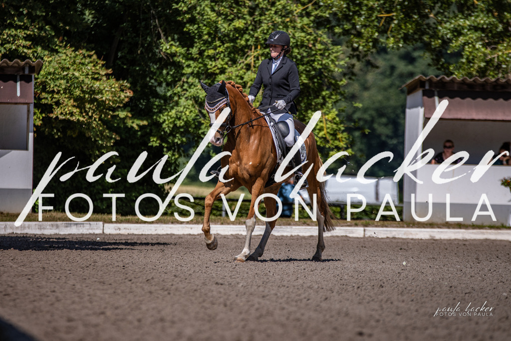 IMG_8057 | Erleben Sie dynamische Sport- und emotionale Tierfotografie in Süddeutschland mit Fotos von Paula. Spezialisiert auf Pferde- und Hundefotografie sowie Sportevents. Kontaktieren Sie mich für einzigartige und ausdrucksstarke Bilder Ihrer besonderen Momente. - Realisiert mit Pictrs.com