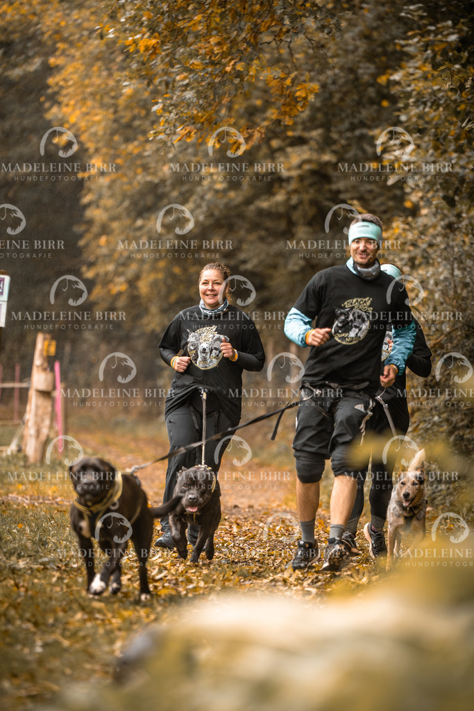madeleinebirr-fotografie2025.campcanis.sa.8-9Uhr-111 | hundefotografie-birr