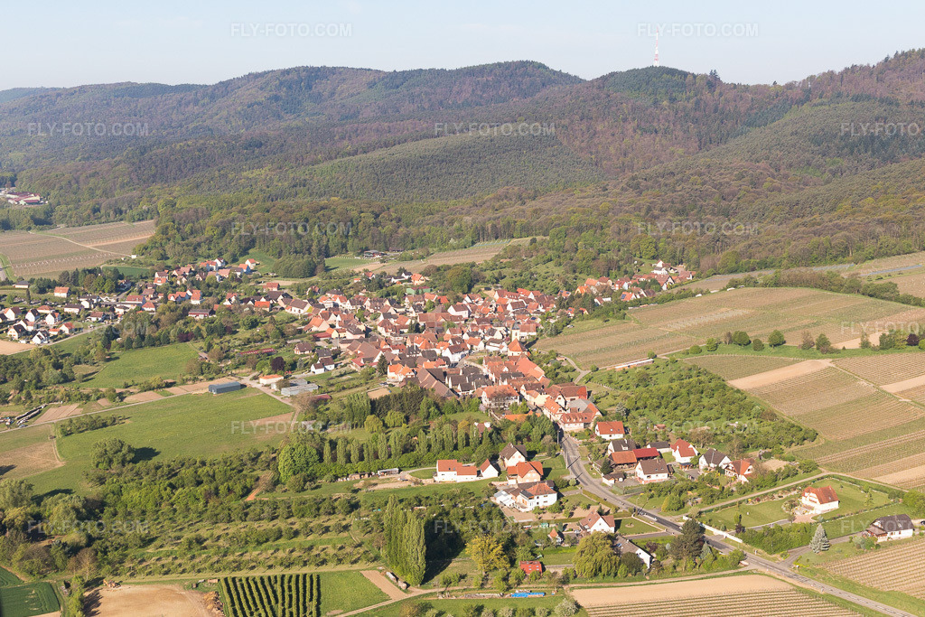 Aerial view: View of the town in Rott in the state Bas-Rhin, France.Photo: IMG_099297.jpg taken on 04/30/2017 by Werner Riehm/FLY-FOTO.comResolution of the original: 4696 x 3131 px