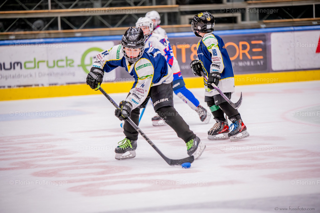 DSC_6402 | "Fussifoto.com – Ihr Ansprechpartner für hochwertige Fotografie! Entdecken Sie kreative Bilder und professionelle Dienstleistungen. Kontaktieren Sie uns für Ihre Projekte!"