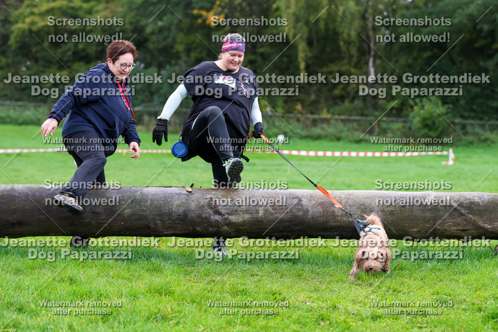 Dog Paparazzi -  SD1026-960 | Dog Paparazzi Jeanette Grottendiek Fotografie & Videografie - Realisiert mit Pictrs.com