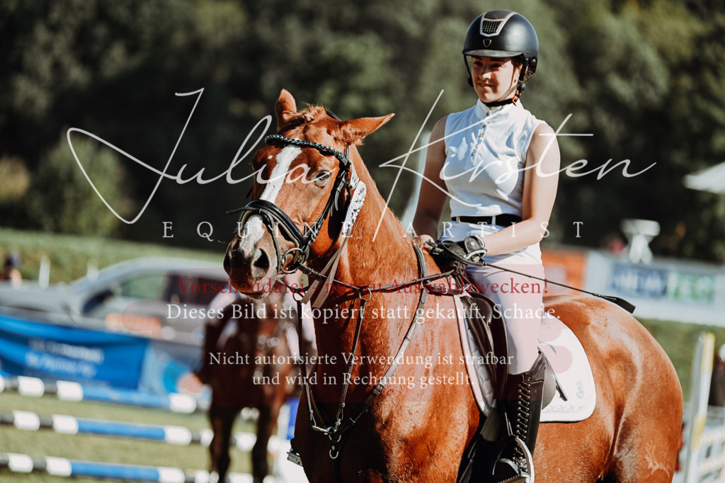 DSC_6980 | Pferde- und Turnierfotografie in Westsachsen. Pferdeportraits, Auftragszeichnungen und intuitive Kunst.