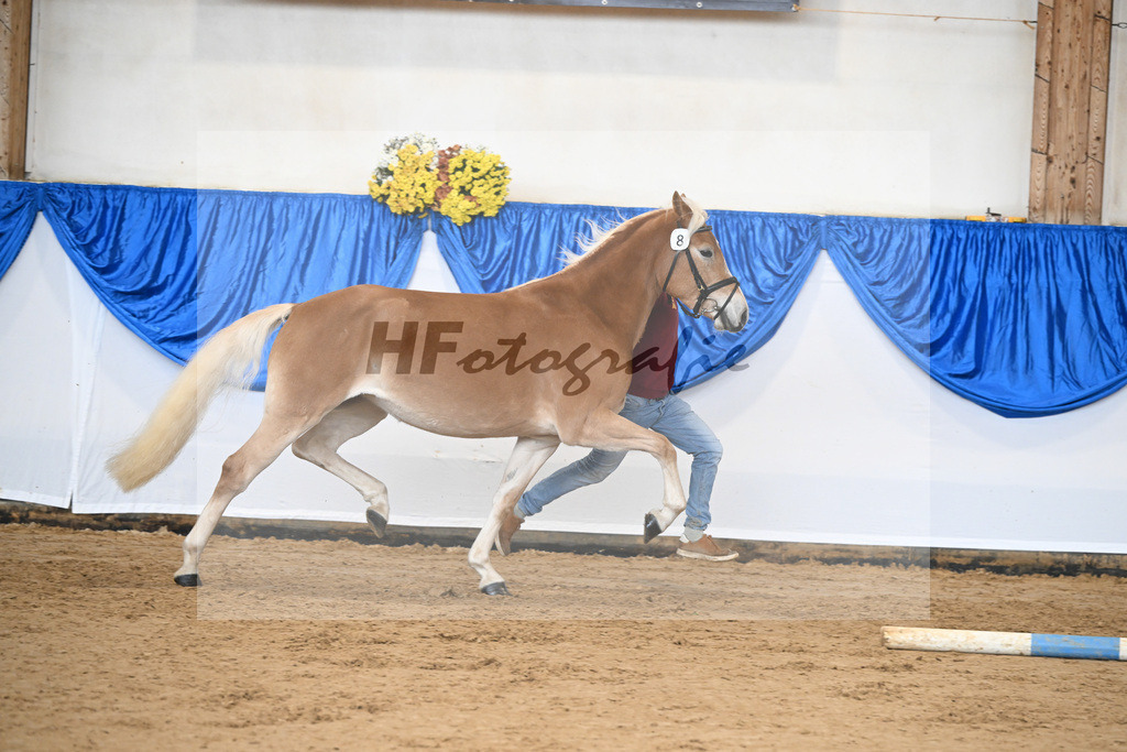 Bl. Band Kat-Nr. 8 Nancy v. Bugatti_Stadler_48251361 | hf-fotografie - Realisiert mit Pictrs.com