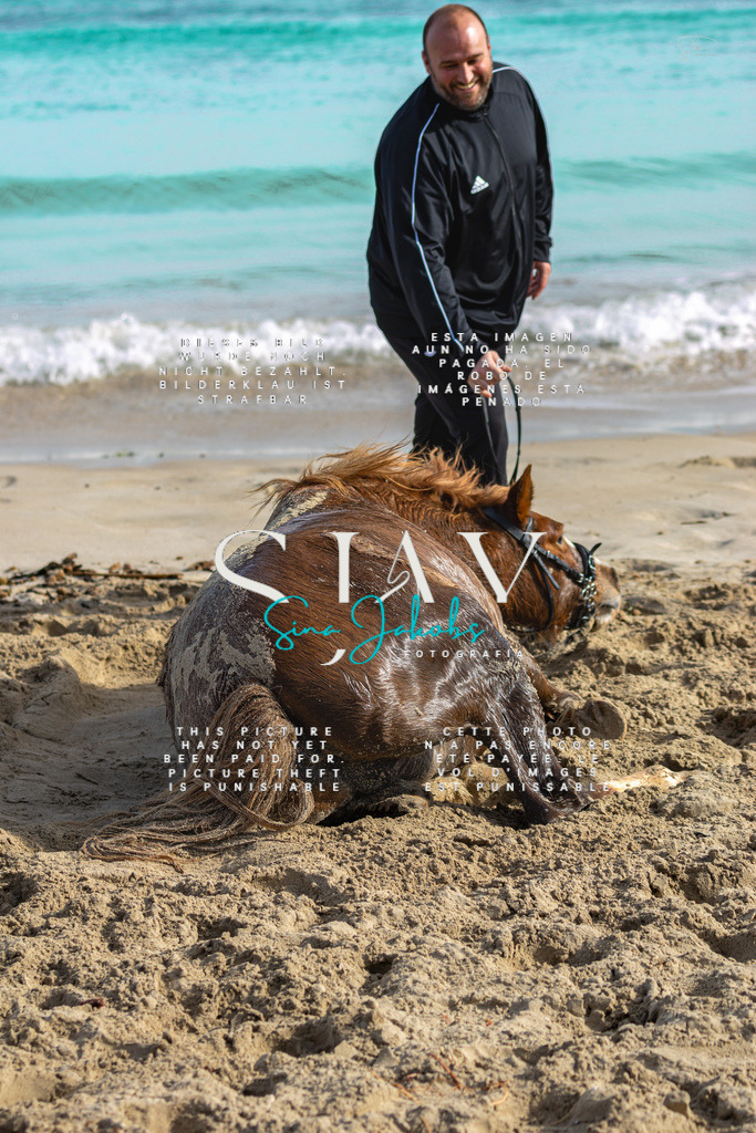 IMG_3202 | s-jay-photography - Realisiert mit Pictrs.com