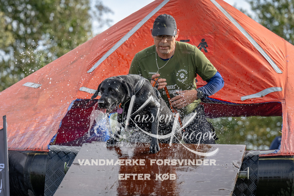 1212-92805 | kk-dogfotos